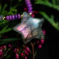 IMG_3556.jpg